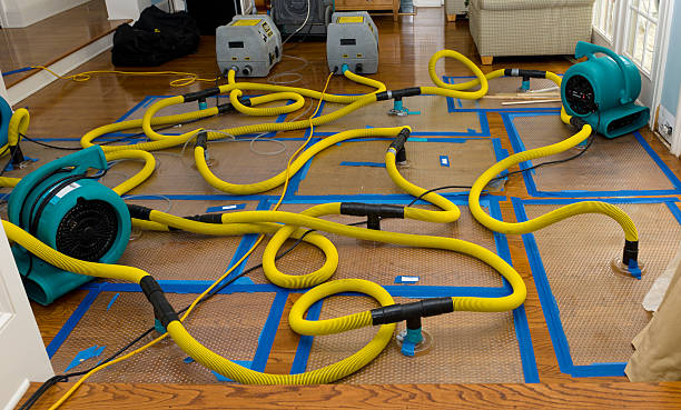 Professional Water Damage Repair technician working in Walls, MS